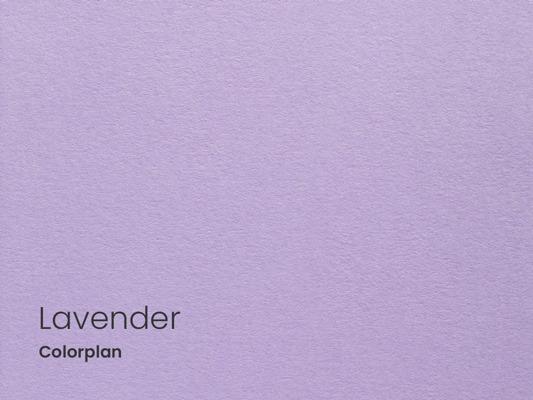 Colorplan Lavender
